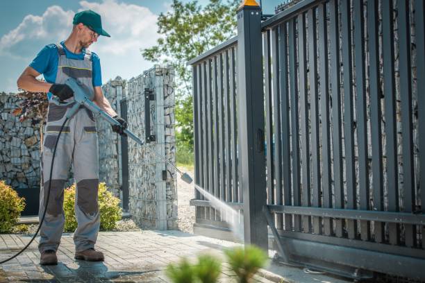 Best Roof Washing  in Chesnut Hill, PA