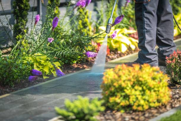 Best Gutter Cleaning  in Chesnut Hill, PA